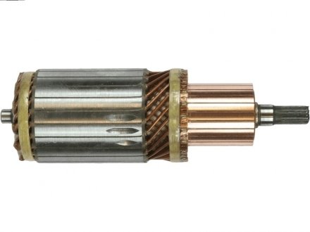 Якір стартера as (польша) SA6006 Якір стартера as (польша) SA6006