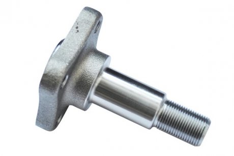 Цапфа (ось ступицы) заднего колеса asam 32154