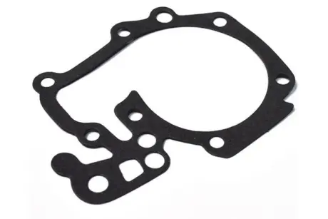 Прокладка водяної помпи Renault Megane 96-99 Dacia Logan 04- asam 32220