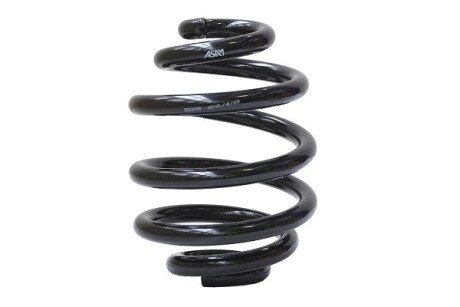 Задня пружина asam 05641 на Рено Кенго 1