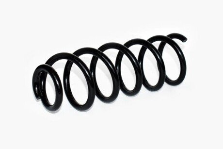 Пружина задняя asam 74748