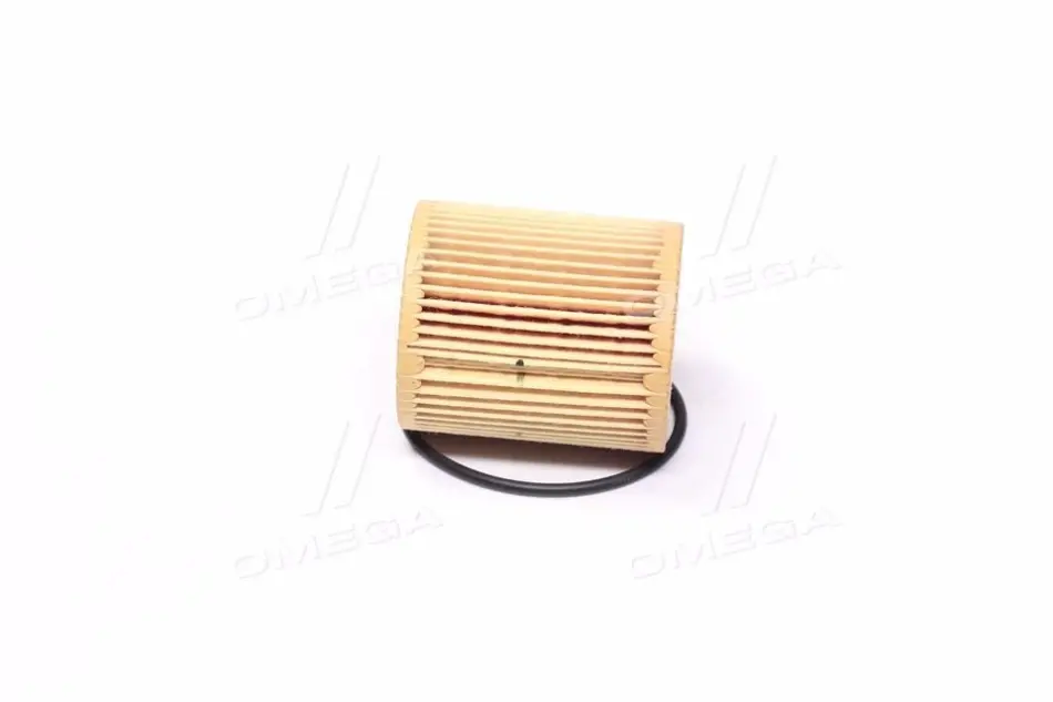 Масляний фільтр Ashika 10-ECO058 (фото 1)