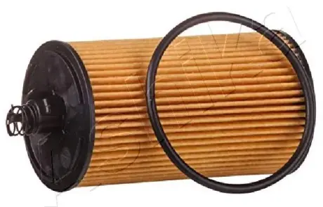 Масляний фільтр Ashika 10ECO153