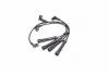 Провода высоковольтные (компл.) RENAULT KANGOO, LOGAN, MEGANE, SANDERO (пр-во ASHIKA) ashika 13201125