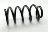 Задня пружина Ashika ZCA6343C (фото 1)