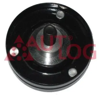 Натяжний ролик Autlog RT1348
