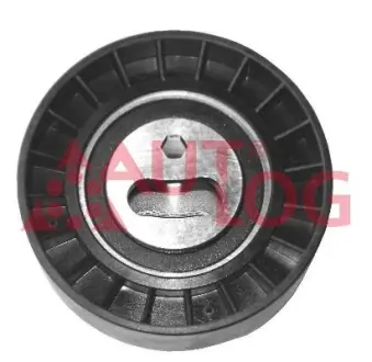Натяжний ролик Autlog RT1399