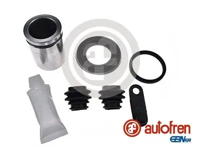 Деталь autofren seinsa D43179C