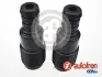 Передний амортизатор autofren seinsa D5175
