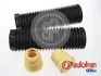 Передний амортизатор autofren seinsa D5195