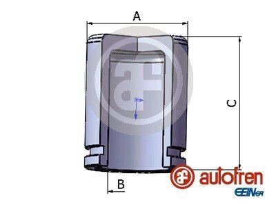 Поршень переднього гальмівного супорта autofren Seinsa D025300