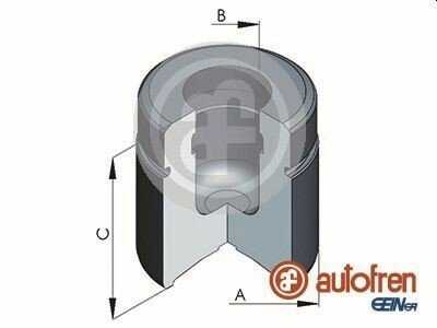 Поршень переднього гальмівного супорта autofren Seinsa D025465