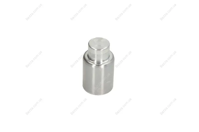 Поршень переднего тормозного суппорта autofren seinsa D025640