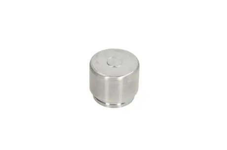 Поршень переднего тормозного суппорта autofren seinsa D0-25693