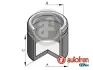 Поршень супорта Autofren Seinsa D025796