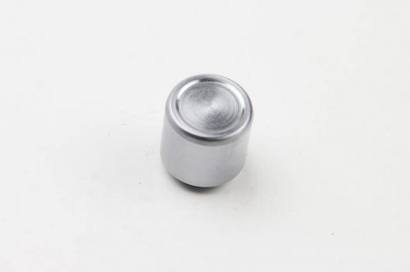 Поршень заднего тормозного суппорта autofren Seinsa D025236