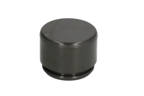 Поршень суппорта Autofren Seinsa D025255
