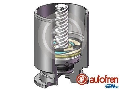 Поршень заднего тормозного суппорта autofren Seinsa D025122RK