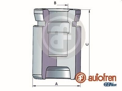 Поршень заднього гальмівного супорта autofren Seinsa D025352