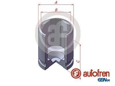 Поршень заднего тормозного суппорта autofren Seinsa D025608