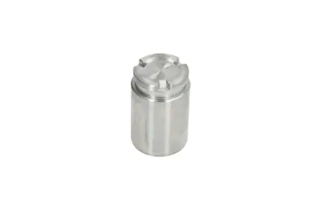 Поршень заднего тормозного суппорта autofren seinsa D025620