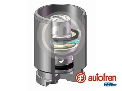 Поршень заднего тормозного суппорта autofren seinsa D02594K