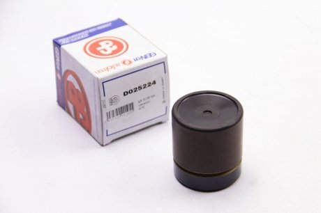 Поршень переднього гальмівного супорта autofren Seinsa D025224