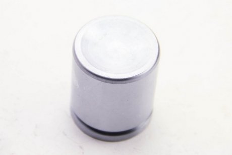 Поршень переднего тормозного суппорта autofren Seinsa D02561