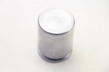 Поршень переднього гальмівного супорта autofren Seinsa D025231