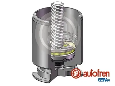 Ремкомплект заднього гальмівного супорта Autofren Seinsa D02554LK