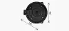 Моторчик (вентилятор) печки AVA cooling systems OL8728