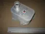 Радиатор масляный SEAT; VW; SKODA; AUDI (пр-во AVA) AVA cooling systems VN3390