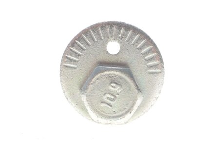 Болт з ексцентриком belgum BG2017