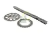 Комплект привідного ланцюга BGA TC4259FK