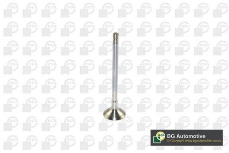 Клапан двигуна bga V122042