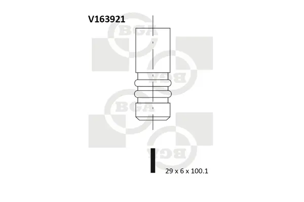 Клапан двигуна BGA V163921 (фото 1)