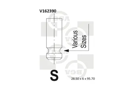 Впускний клапан BGA V162390