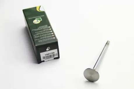 Впускной клапан BGA V991799