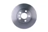 Тормозной диск перед. Scudo/Jumpy/Expert 96-06 BHS (Behr hella service) 8DD355105621