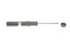 Передний амортизатор (стойка) bilstein 19-226903