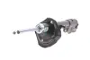 Передний амортизатор (стойка) bilstein 22-172662