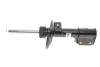 Передний амортизатор (стойка) bilstein 22-193414