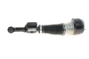 Передний амортизатор (стойка) bilstein 44110475