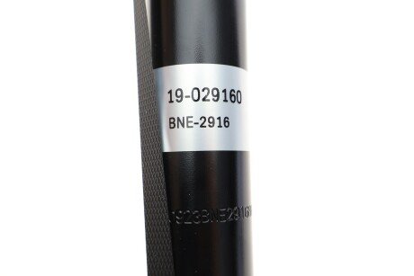 Задний амортизатор (стойка) bilstein 19029160