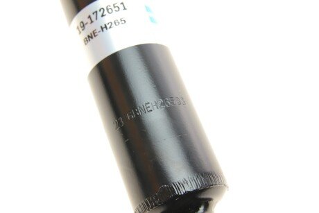 Задний амортизатор (стойка) bilstein 19172651