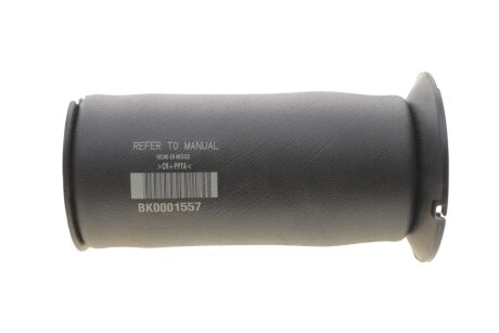 Задняя рессора bilstein 40288871 на Дачия Логан мсв