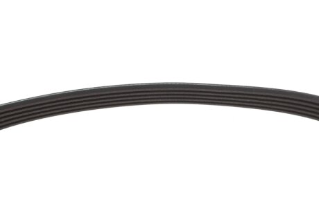 Ремінь 5PK685 blue Print AD05R685