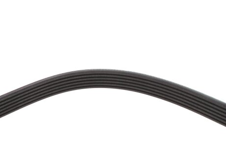 Ремінь 6PK1230 blue Print AD06R1230