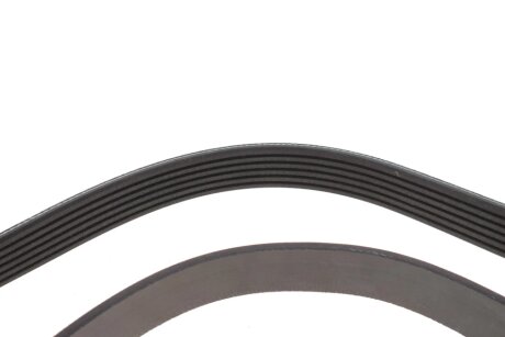 Ремінь 6PK1245 blue Print AD06R1245