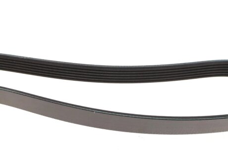 Ремінь 6PK1425 blue Print AD06R1425